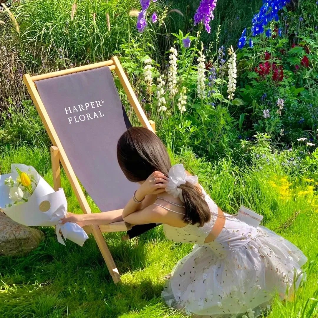 圣殿骑士的宝藏